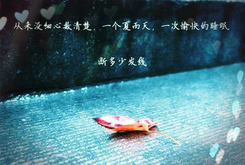 从日常生活看影视美学-一场温暖的视觉对话