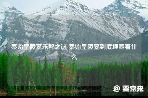当高潮频数成为观看习惯？《MIDV-500》背后的视觉暴力