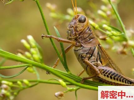 当情色被包装成“训练”：我们到底在消费什么？