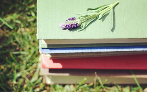 2605170333230273.jpg