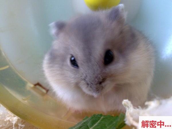 解密《JUY-368》，情欲、权谋与银幕背后的真实与戏剧