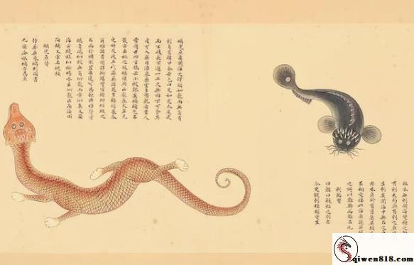 海边影片解读！从《CLUB-633》看夏日轻松观影与生活小技巧