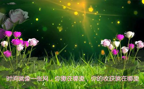 电影中的情感探索与日常生活启示