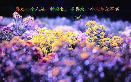 与艺术连接的私人时刻