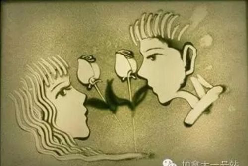 镜头里的涟漪