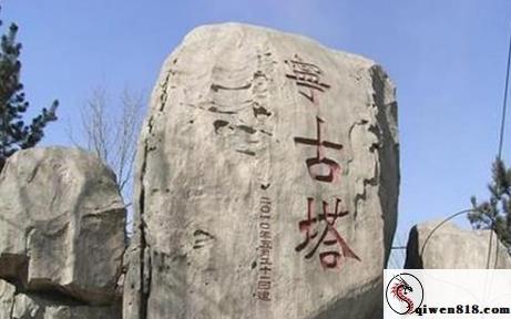 深度解读《GOJU-252第一次射击x戴绿帽的妻子》-情节、制作与社会回响