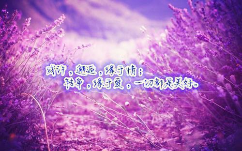 《PRED-274》暑假性癖与人际关系的隐秘探索