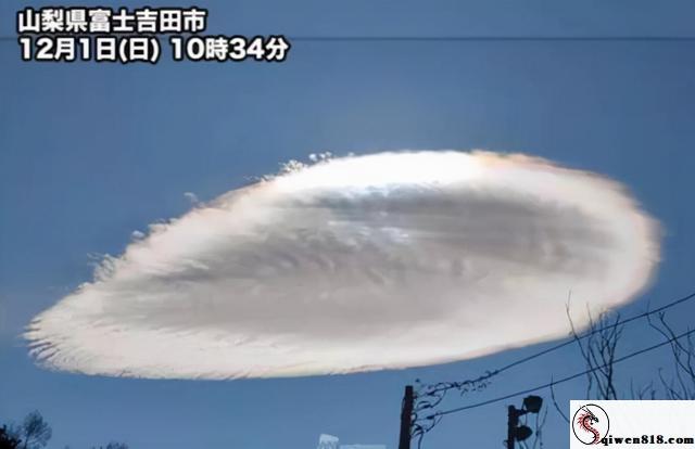 社会片:《PPPE-034》的夜晚就像一场意外的舞会