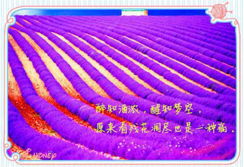  AV剧场中的温暖服务！从微笑到故事
