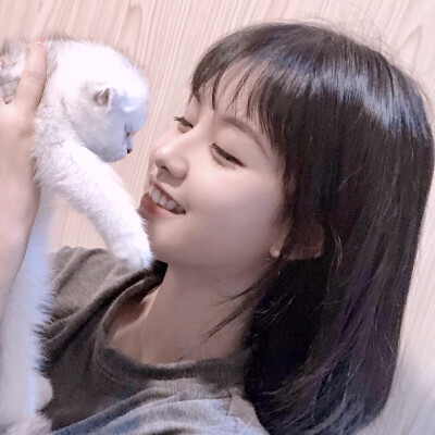 高平在线